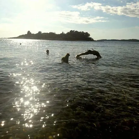 Stone Corner I Ruhiges Steinhaus Mit Garten Nahe Rovinj & Meer 別荘 *