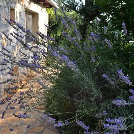 Our Stone Corner Dom wakacyjny Rovinj