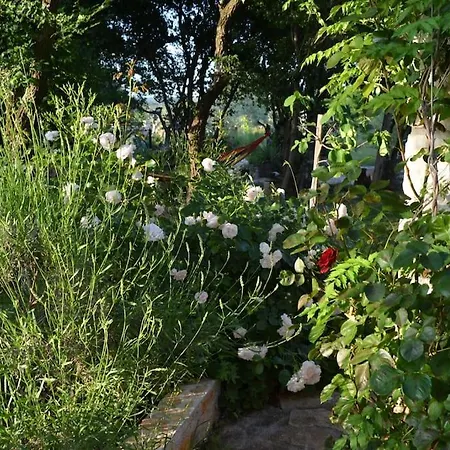 Stone Corner I Ruhiges Steinhaus Mit Garten Nahe Rovinj & Meer 別荘 *