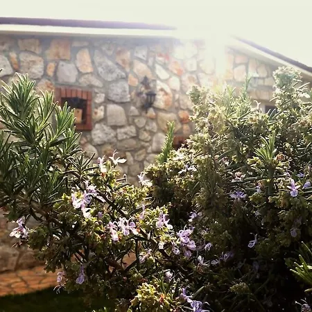 Stone Corner I Ruhiges Steinhaus Mit Garten Nahe Rovinj & Meer 別荘 *