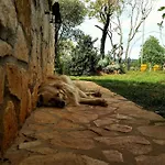 Our Stone Corner ロヴィニ